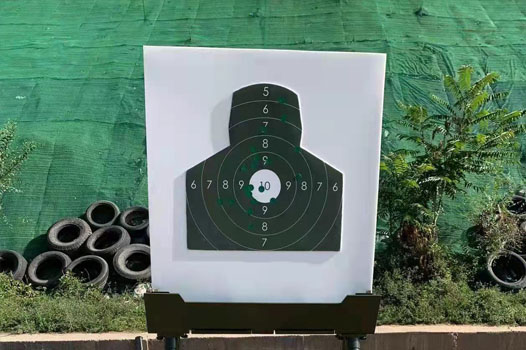 西安龍運電子科技有限公司官方網(wǎng)站上線